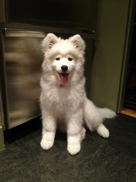 Meeka sitting pretty